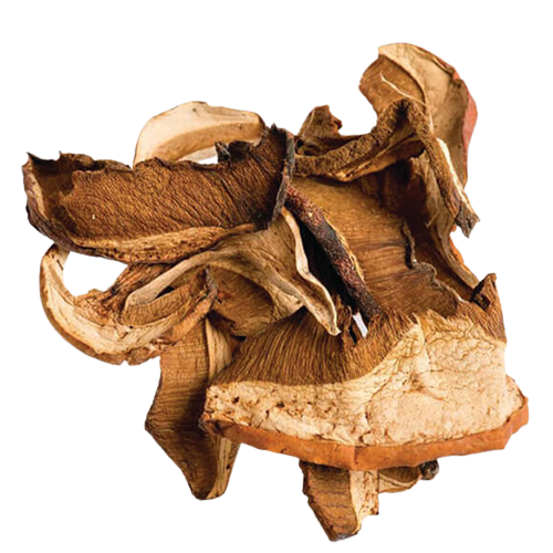 Wild Porcini Mushrooms 1lb (Dried)