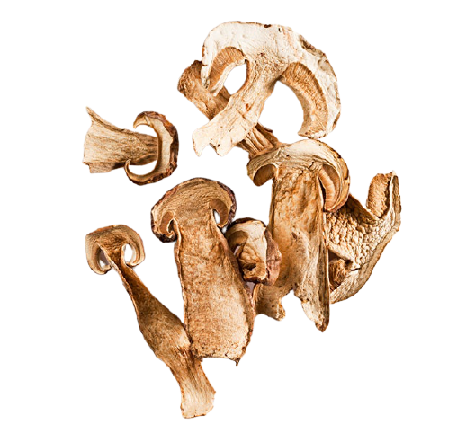 Wild Porcini Mushrooms 8oz (Dried)
