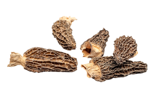Wild Morel Mushrooms 14g (dried)