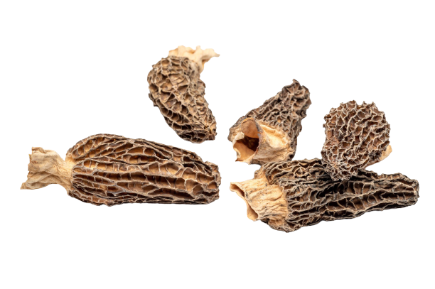Wild Morel Mushrooms 14g (dried)